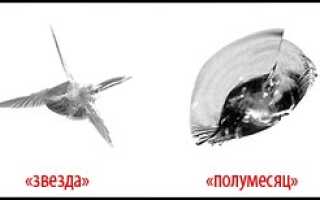 Трещина на лобовом стекле на машине. Скол на лобовом стекле автомобиля. Ремонт сколов на лобовом стекле своими руками
