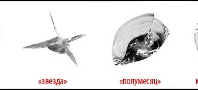 Трещина на лобовом стекле на машине. Скол на лобовом стекле автомобиля. Ремонт сколов на лобовом стекле своими руками
