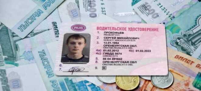 Стоимость получения водительского удостоверения в 2023 году: как и сколько платить госпошлину за права